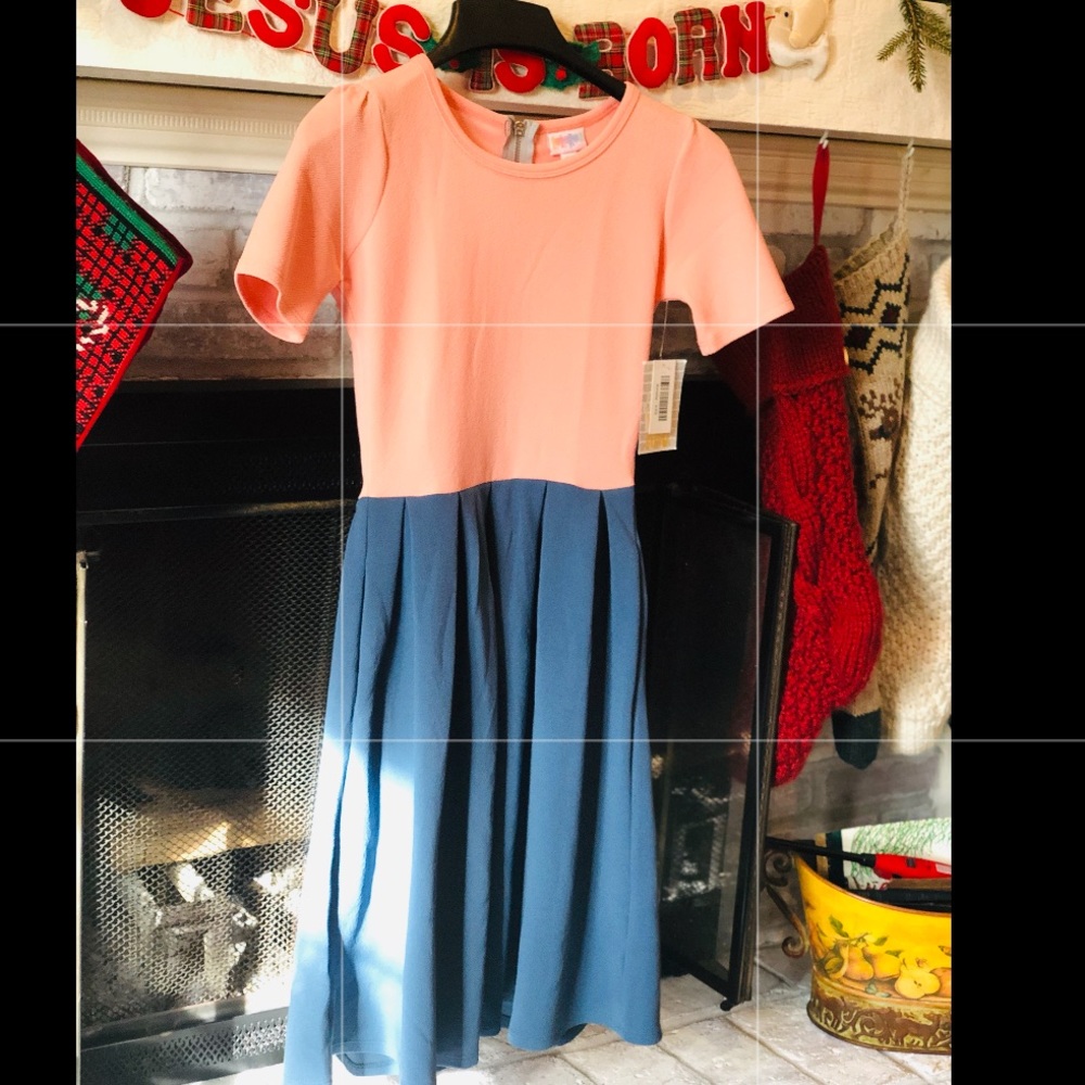 Brand new LuLaRoe, Amelia dress size XXS